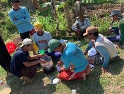 TIM KKN-T INOVASI  IPB BANTU OPTIMALKAN AGRIBISNIS SAPI POTONG DESA KAWENGAN