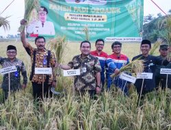 PROGRAM CSR PERTAMINA EP 4 CEPU SUKSES BESAR