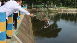 PULUHAN RIBU IKAN DITEBAR DI 15 WADUK