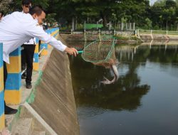 PULUHAN RIBU IKAN DITEBAR DI 15 WADUK