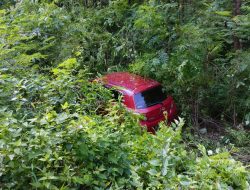 MOBIL PEMUDIK TERPEROSOK KE DALAM HUTAN RANDUBLATUNG