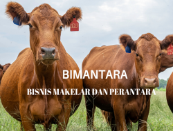 PILKADA BLORA: KANDIDAT MASIH SEPI, MAKELAR POLITIK UNJUK GIGI