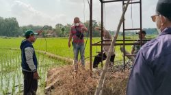 KADES GOMBANG DITEMUKAN MENINGGAL DI SAWAH DIDUGA TERSENGAT LISTRIK POMPA AIR