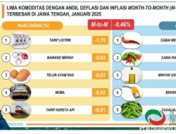 DISKON LISTRIK DAN INSENTIF PAJAK DORONG DEFLASI JAWA TENGAH -0,46 PERSEN