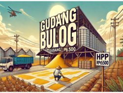 HPP GABAH Rp6.500/Kg, PETANI BLORA TUNGGU LANGKAH NYATA PEMERINTAH