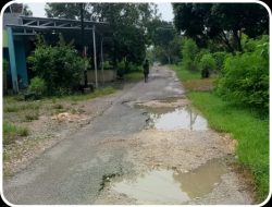 RP 13 MILIAR DIGELONTORKANUNTUK PERBAIKAN JALAN BANJAREJO – ROWOBUNGKUL