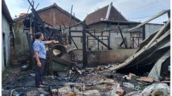 SI JAGO MERAH LALAP USAHA KRUPUK DI NGAWEN SAAT PEMILIK SEDANG ISTIRAHAT