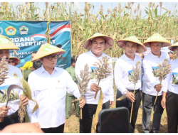 BLORA SIAP JADI SENTRA SORGUM NASIONAL, MENDES YANDRI DUKUNG PENUH LANGKAH INI