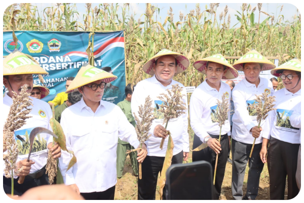 BLORA SIAP JADI SENTRA SORGUM NASIONAL, MENDES YANDRI DUKUNG PENUH LANGKAH INI