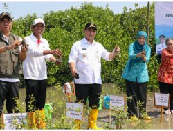 PEMPROV JATENG TANGANI ROB DEMAK LEWAT MANGROVE, TANGGUL, DAN KOLAM RETENSI