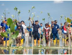 JATENG TANAM 200 RIBU MANGROVE, AHMAD LUTHFI BANGKITKAN HARAPAN WARGA PESISIR
