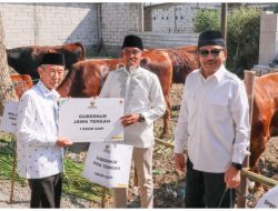 BAZNAS JATENG OLAH 116 SAPI KURBAN JADI KORNET UNTUK PERMUDAH DISTRIBUSI DAN TANGANI GIZI BURUK
