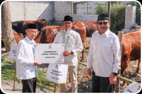 BAZNAS JATENG OLAH 116 SAPI KURBAN JADI KORNET UNTUK PERMUDAH DISTRIBUSI DAN TANGANI GIZI BURUK