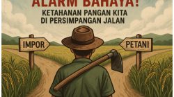 ALARM BAHAYA! KETAHANAN PANGAN KITA DI PERSIMPANGAN JALAN