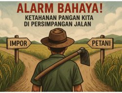 ALARM BAHAYA! KETAHANAN PANGAN KITA DI PERSIMPANGAN JALAN