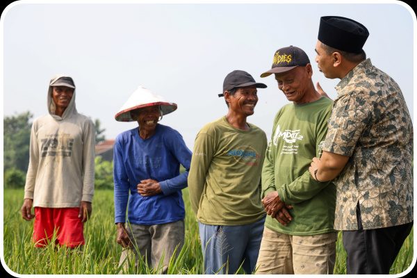 PEMPROV JATENG SALURKAN 13,6 TON BENIH PADI UNTUK PULIHKAN SAWAH TERDAMPAK BANJIR DI GROBOGAN