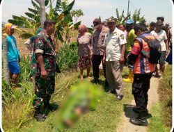 PETANI DI JATI MENINGGAL KESREMPET KERETA API SAAT MENUJU SAWAH