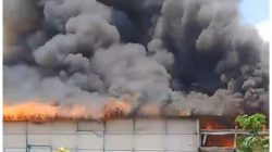 KANDANG AYAM DI RANDUBLATUNG LUDES TERBAKAR, KERUGIAN CAPAI Rp2,5 MILIAR